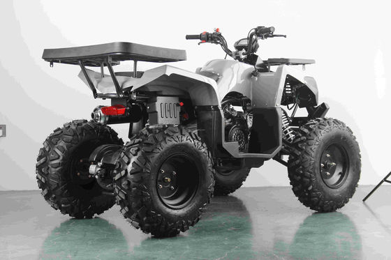 Off-road 10 pollici pneumatici 200cc 250cc adulto quad ATV con avvio automatico e a catena