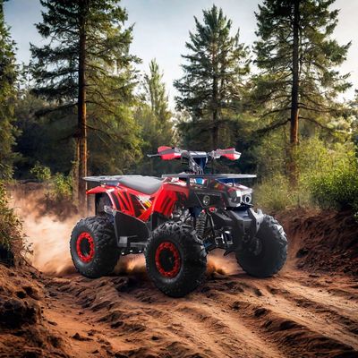 125cc ATV per bambini RunPro 2024 Electric Start Farm Quad Bike Chain Drive CE Automatic