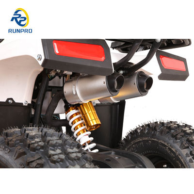 110cc Sirus 125cc ATV Quad Bike con capacità di carico utile 100-200kg RUNPRO Professional 2024