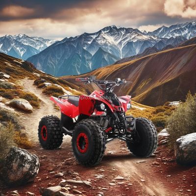 Electric Kids ATV Quad Bike certificata CE con motore da 1500W e batteria a piombo 48V12AH