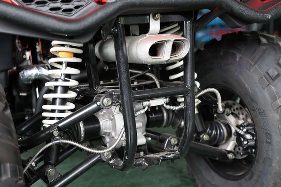 350cc ATV Quad Bike con azionamento ad albero e freni a disco