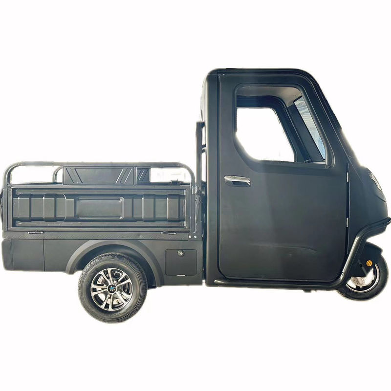 Opzionale 1000/1200/2000/3000W tricicli elettrici per famiglia 3 ruote E-Bike e Pedicab
