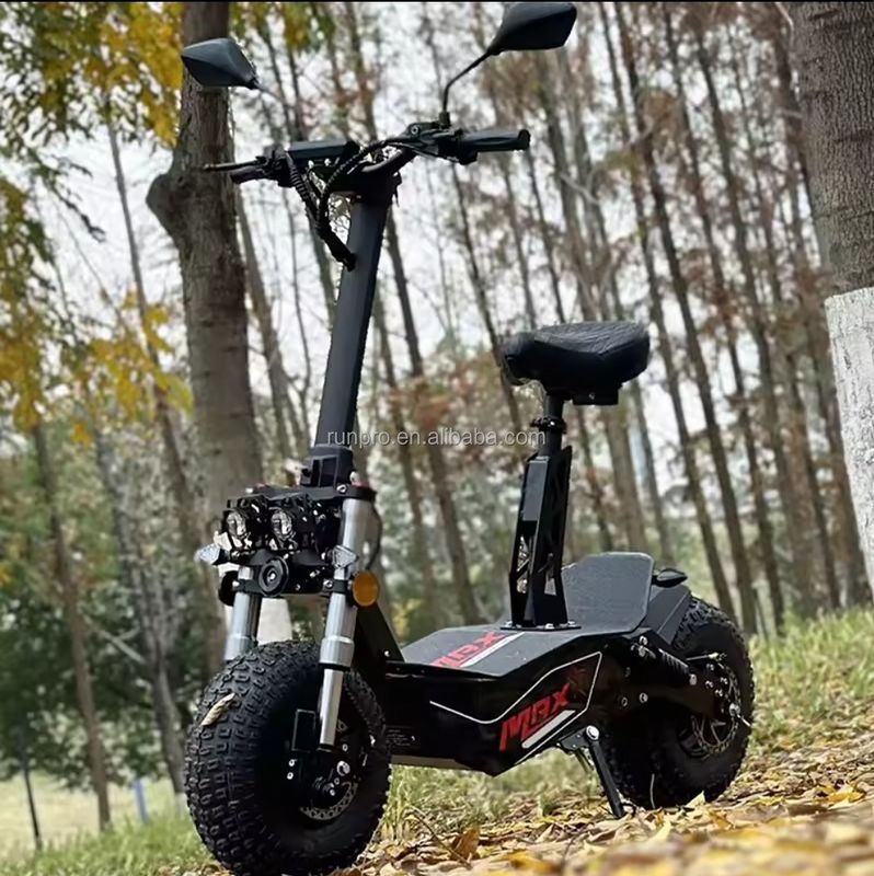 Off Road 2000W 3000W Scooter elettrico di mobilità COC CEE Motore senza spazzola 10 pollici Hub Motor Scooter elettrico Motorbike con CE