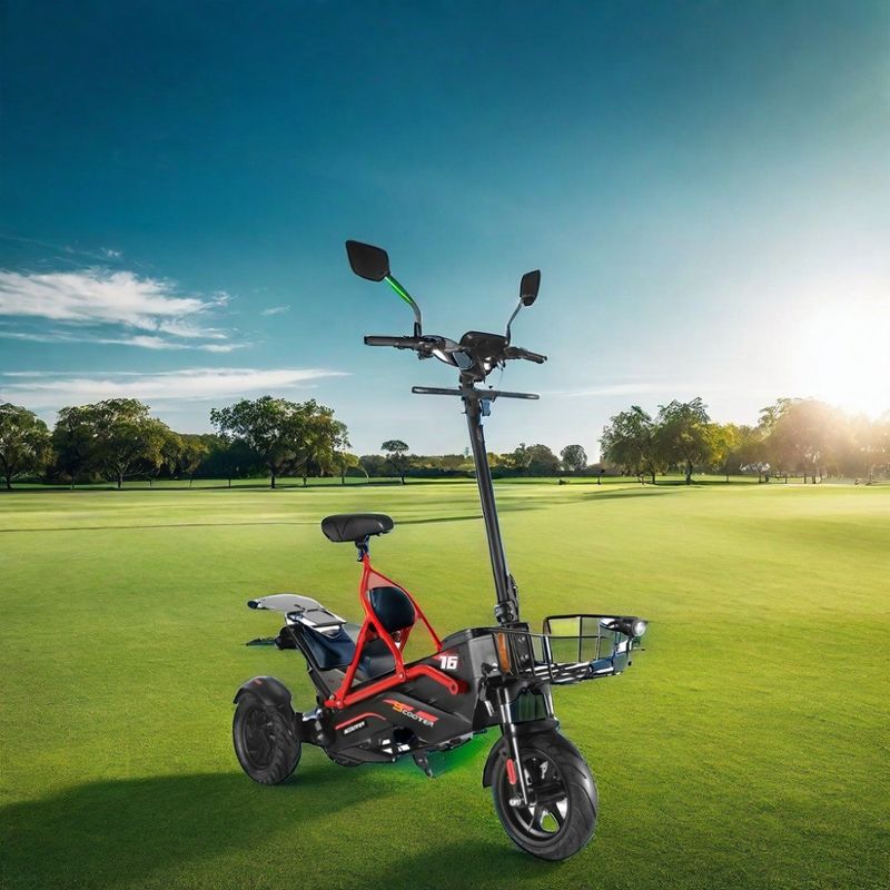 Scooter elettrico con doppio motore senza spazzole e telaio in acciaio 48V500W*2 batteria al litio