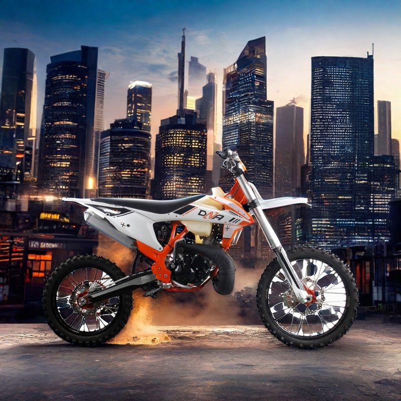 Motore a catena a 2 tempi Motocicletta per adulti 250cc Motocross fuoristrada