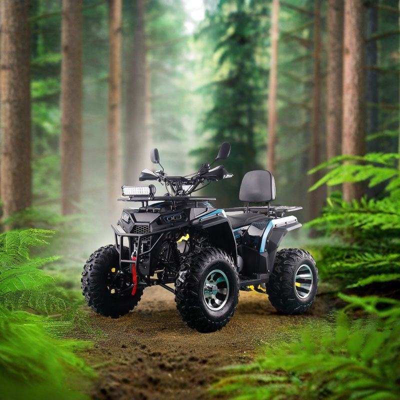 200CC ATV 250CC ATV Adulto ATV Quad Bike con Chain Drive e 1000W Electric Pull Start