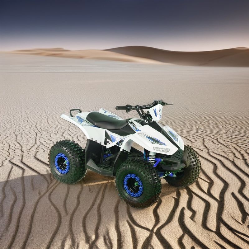 2024 Adolescenti 4x4 1000W 48V 1200W Azionamento a fuso elettrico Quad Bike Electric Quad ATV