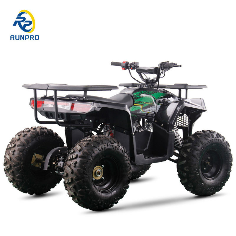 2WD All-terrain Double Four-wheeler Beach Buggy con capacità di carico utile da 100 a 200 kg Perfetto