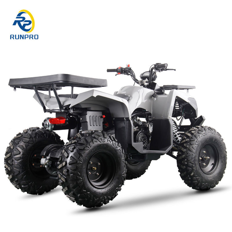Gas/diesel Beach Buggy Chain Drive 4 ruote 4 tempi Quad Bike 200cc/300cc per adulti