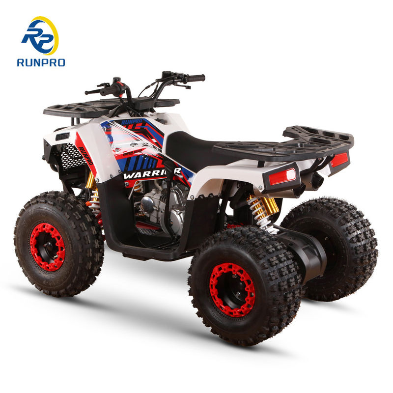 Freno a disco idraulico anteriore e posteriore 125cc Farm ATV Quad con ruote 19*7-8/18*9.5-8