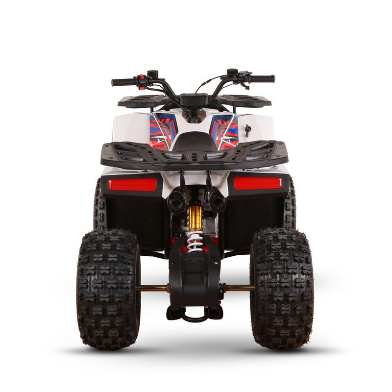 Transmissione automatica da 1000W Tipo 4x4 ATV UTV Off Road Farm Motor 150cc Quattro ruote
