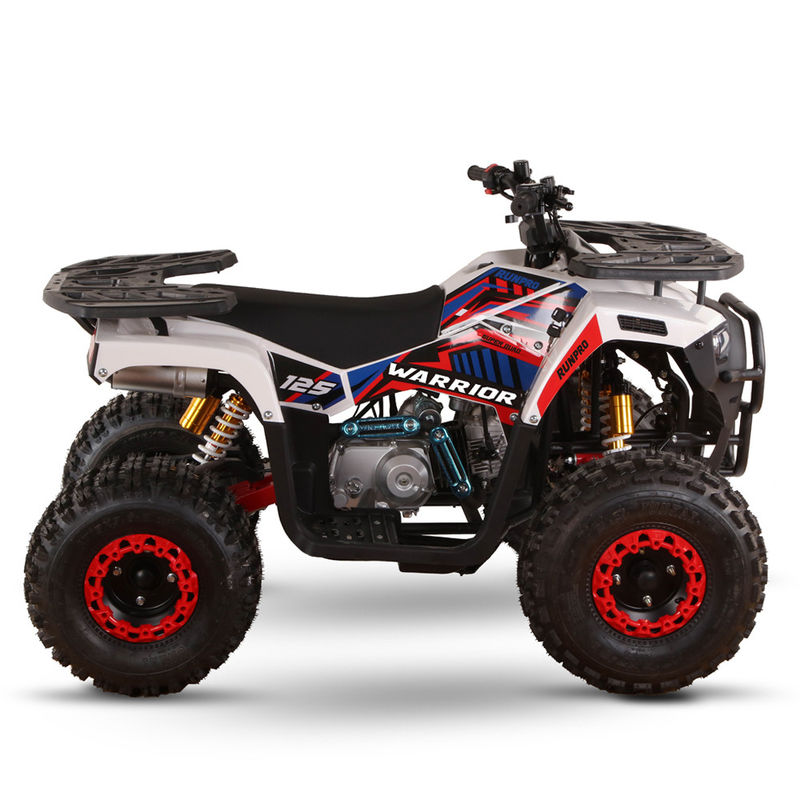 Terreno 110cc 125cc Quad Bikes per adulti Max Loading 150kgs Trasmissione a catena