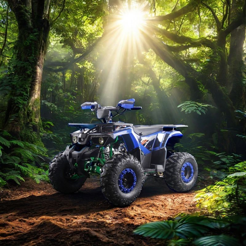 Potenti quadricicli a benzina da 125 cc con tipo di guida 2WD e caratteristiche interessanti