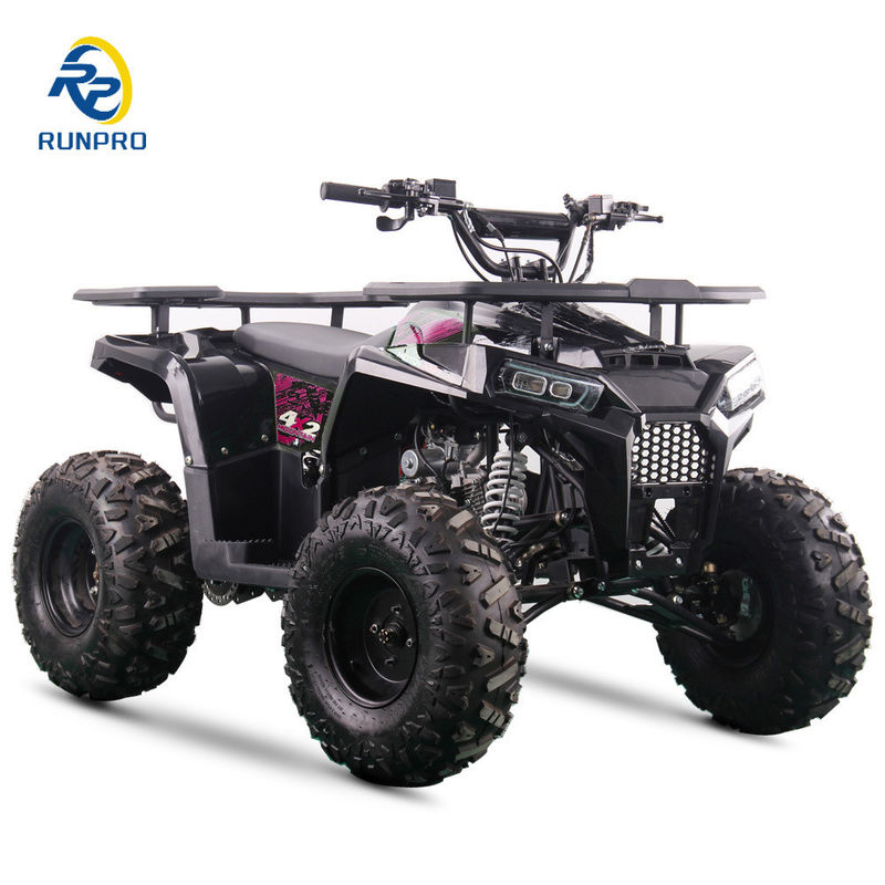 Certificato CE 125cc 4 stroke Petrol Beach Buggy con ruote da 8 pollici e 150 kg di carico massimo