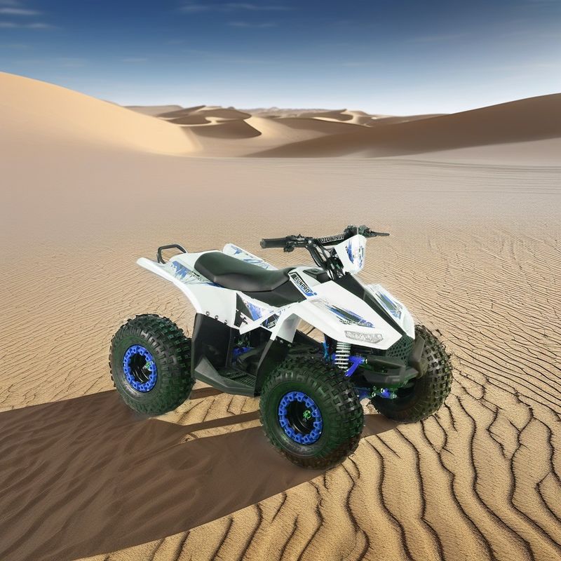 48V12AH batteria al piombo-acido RUNPRO 1200W motore a trazione a trazione a asse elettrico ATV a quattro ruote per l'agricoltura