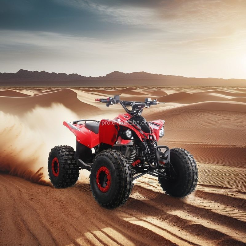Electric Kids ATV Quad Bike certificata CE con motore da 1500W e batteria a piombo 48V12AH